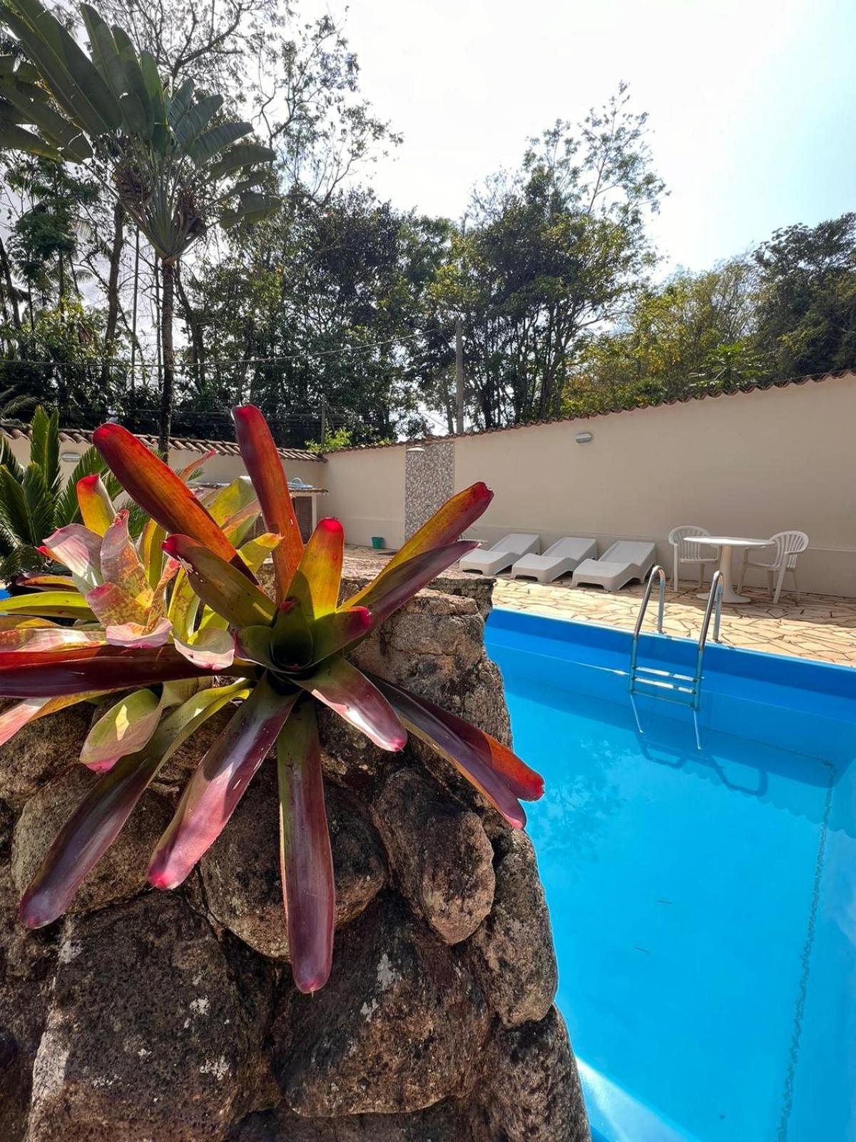 Apartment Palm House -